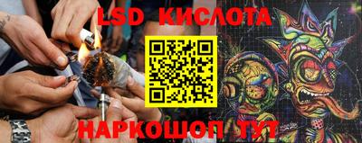 jwh Новозыбков
