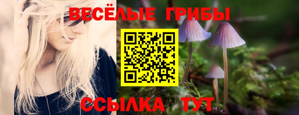 Ялуторовск  Псилоцибиновые грибы прущие грибы  Вход с VPN  Псилоцибиновые грибы Psilocybine cubensis 